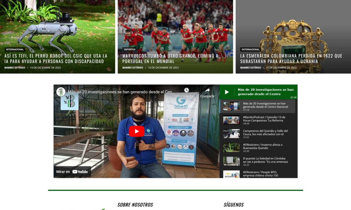 Bambuestereo.com